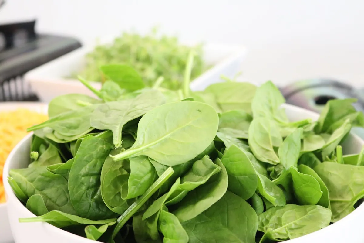 10 recettes délicieuses pour cuisiner les épinards frais