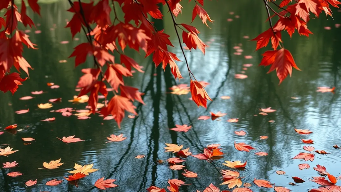 Étang en automne avec des feuilles flottantes.