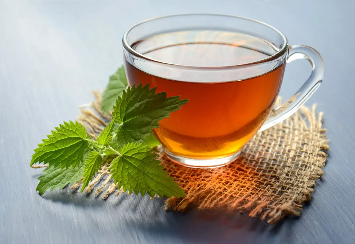 Canarino : la tisane digestive qui améliore votre bien-être