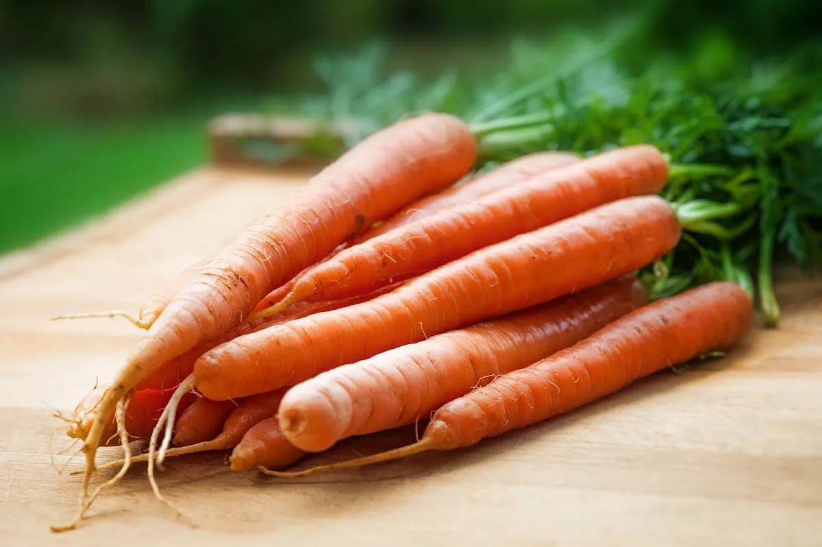 Cinq méthodes innovantes pour préparer délicieusement des carottes