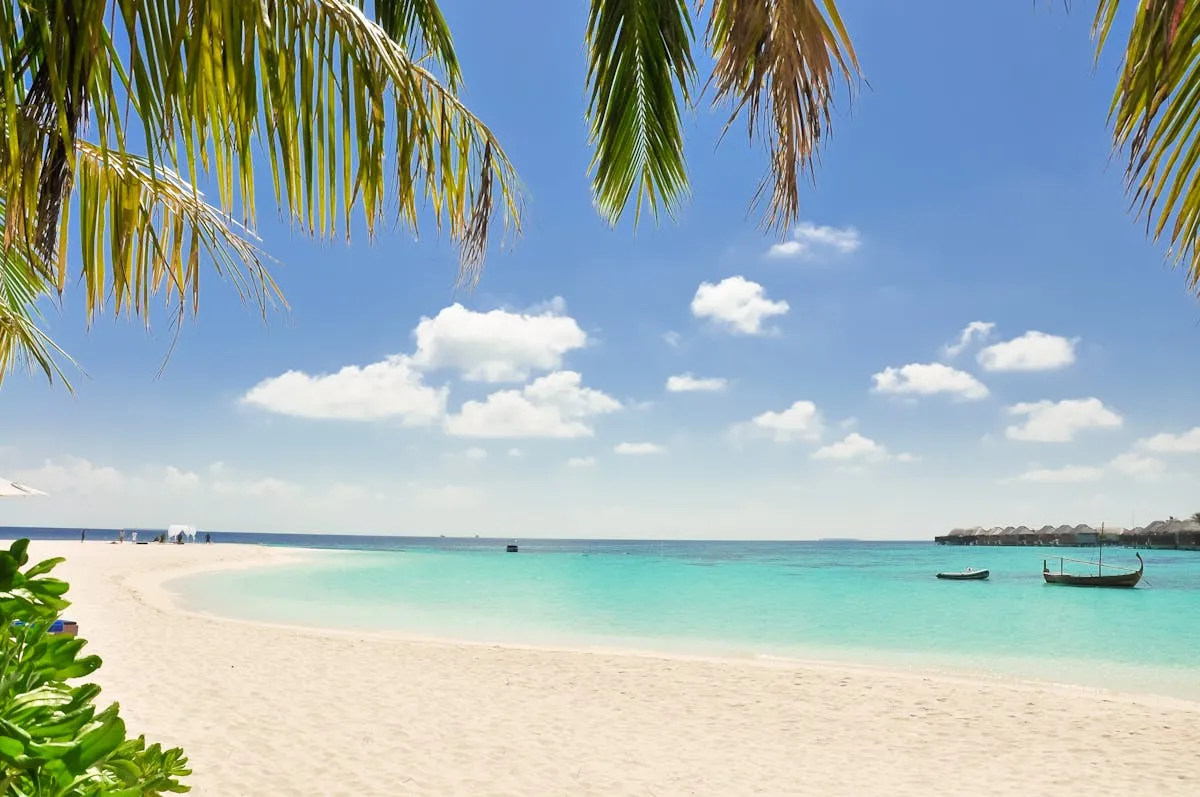 Comment optimiser votre expérience de voyage aux Seychelles avec La Créole