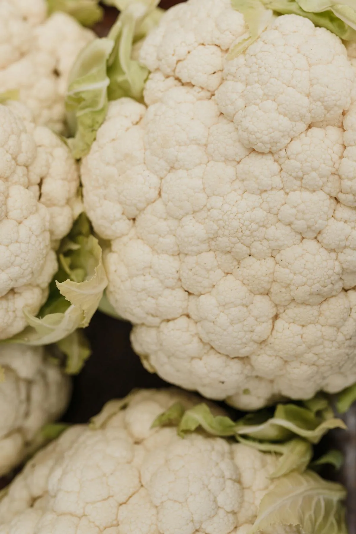 Comment réussir des pois chiches grillés au four bien croustillants