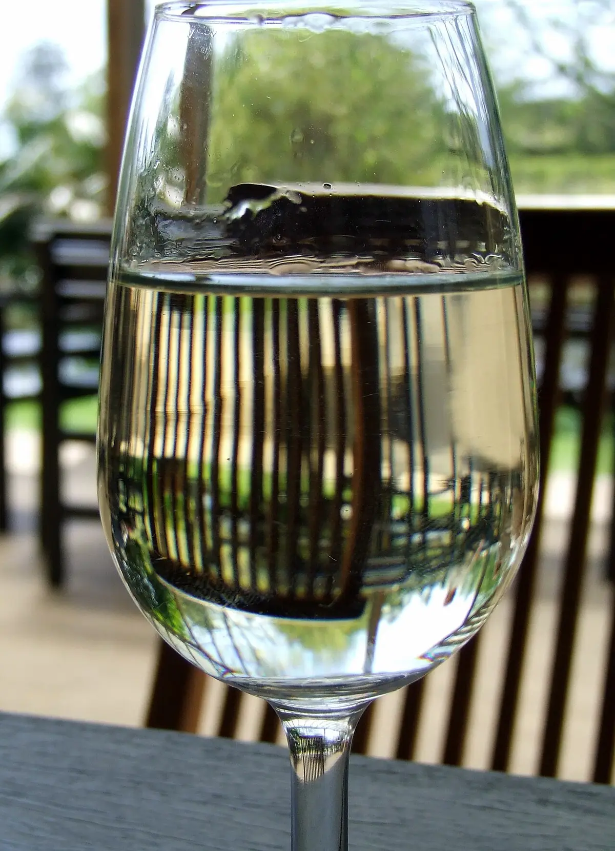 Verre de dégustation rempli de vin blanc lors d'un cours d'œnologie