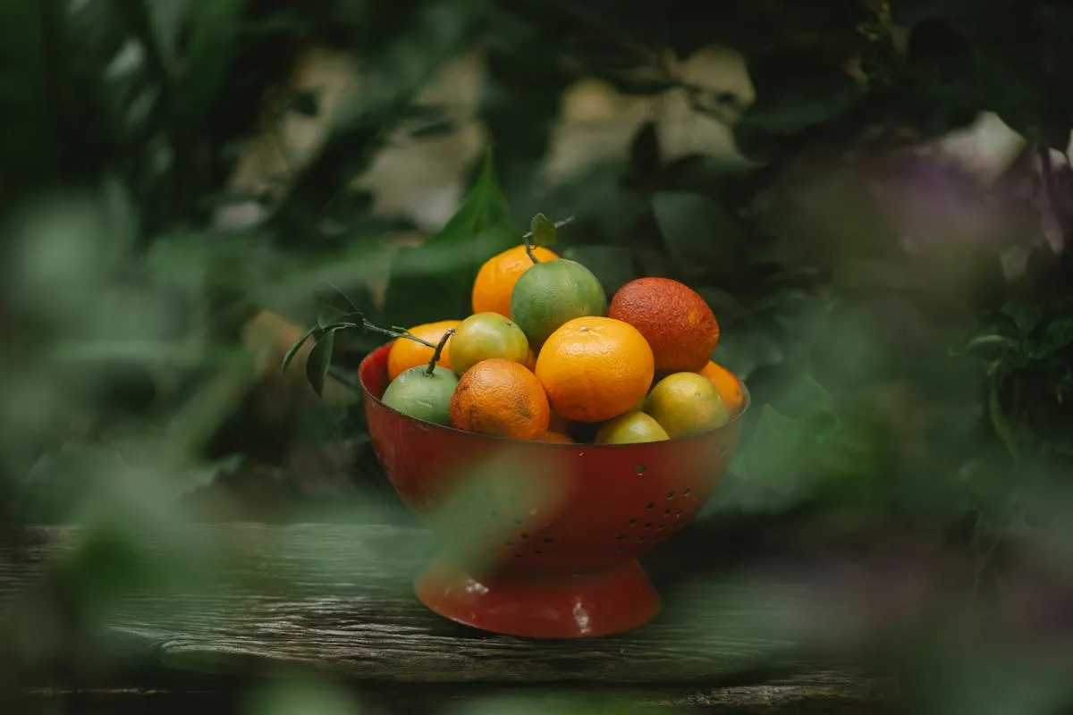 Délicieuse Recette pour Préparer des Chaussons aux Pommes Maison