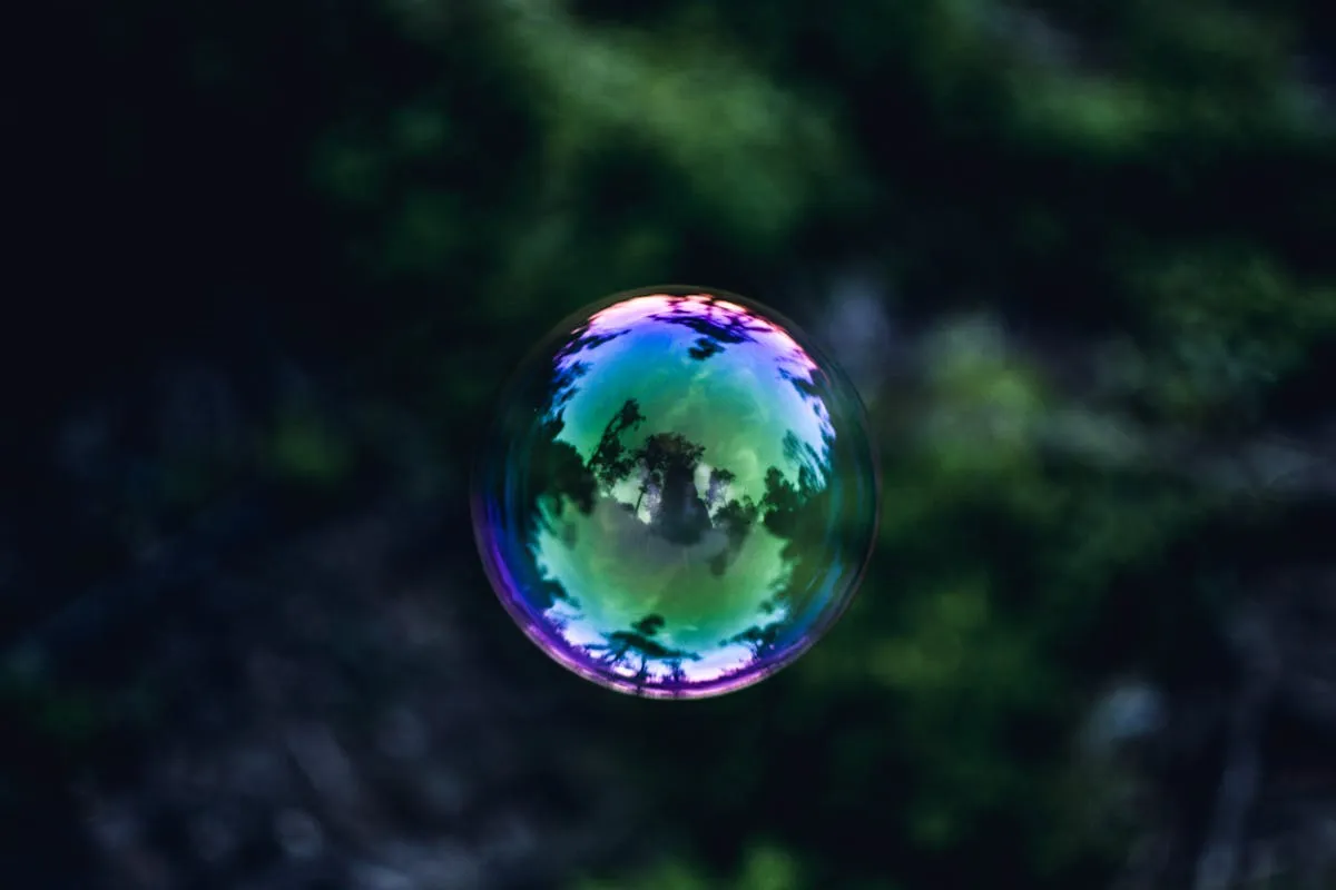 Plongée au cœur des thés et infusions 100% végétales : une aventure sensorielle inédite